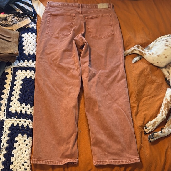 Everlane jeans - Picture 5 of 6